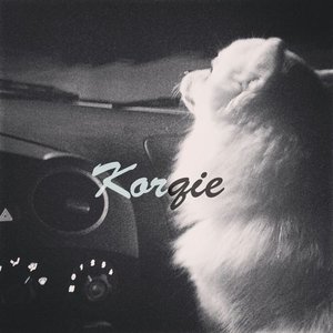 Avatar for Korqie