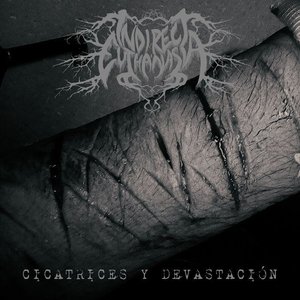 Cicatrices y Devastación