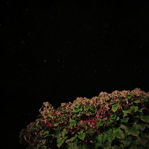 Tape_01 - EP