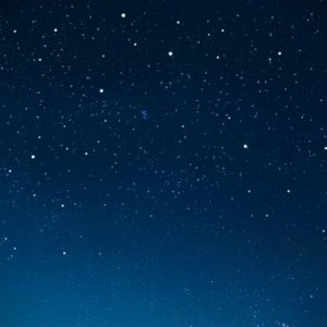 The Night We Met