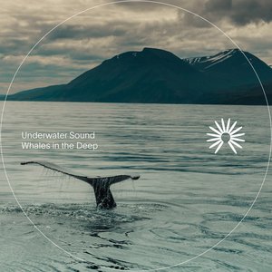 Whales in the Deep - Single