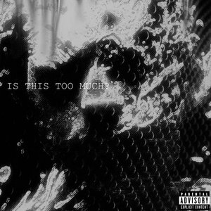 IS THIS TOO MUCH? - Single