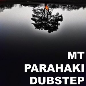 Mt Parahaki Dubstep 的头像