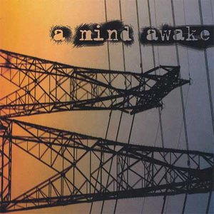 A Mind Awake