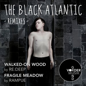 Walked-On Wood / Fragile Meadow (Remixes)