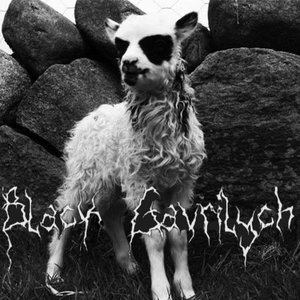 Black Gavrilych 的头像