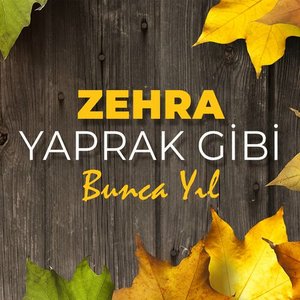 Yaprak Gibi - Bunca Yıl