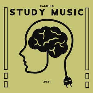 Study Music Club 的头像