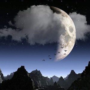 Strick - Risk=Reward 2 - Zortam Music