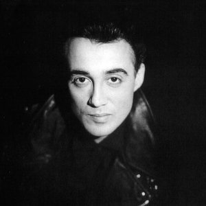 Andrew Ridgeley 的头像