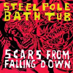 Scars From Falling Down cover