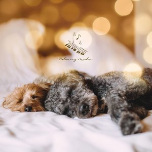 Relaxing Mode 的头像