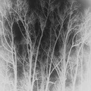 How To Disappear From This World.