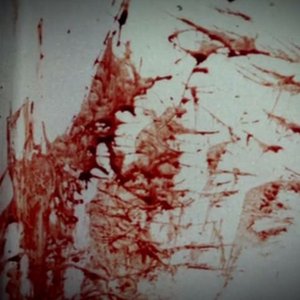 Everything is bloody blood