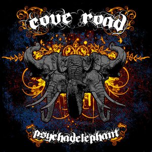 Psychadelephant