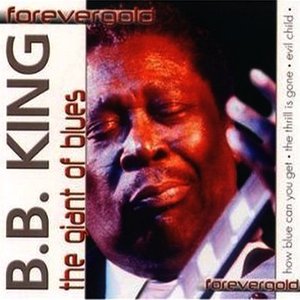 B.B. King - The Giant Of Blues - Zortam Music