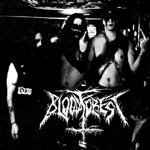 Bloodforest 的头像