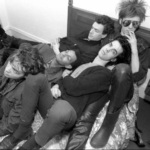 Nick Cave & the Bad Seeds 的头像