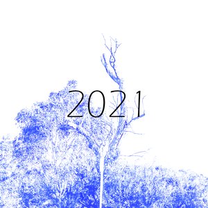 2021