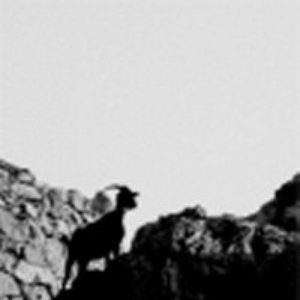 Image for 'Grimmd'