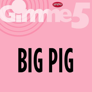 Big Pig - S Megabox - Zortam Music