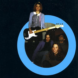 The Holez photo provided by Last.fm