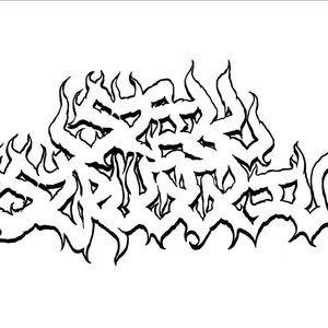 Still Strugglin 的头像