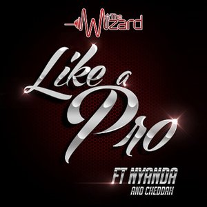 Like a Pro - Single