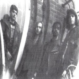 Toys Bizarre 的头像