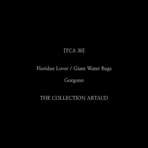 Floridan Lover / Giant Water Bugs