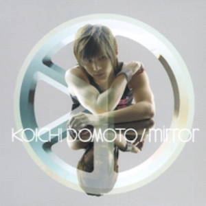 mirror cover