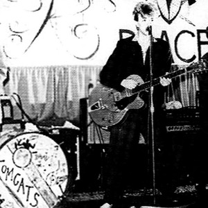 Brian Setzer and The Nashvillains photo provided by Last.fm