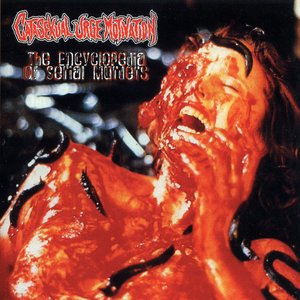 The Encyclopedia of Serial Murders