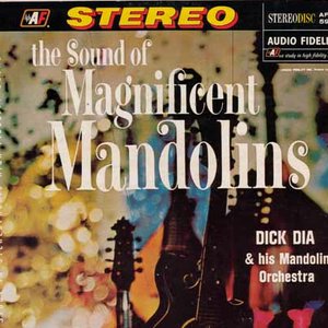 Magnificent Mandolins