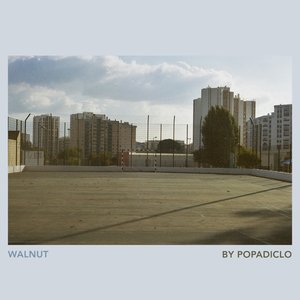 Walnut - Single
