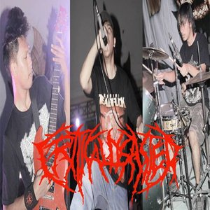 CRITICAL DISASTER 的头像