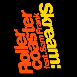 Rollercoaster (feat. Sam Frank) - Single