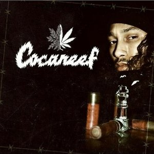 Cocareef 的头像