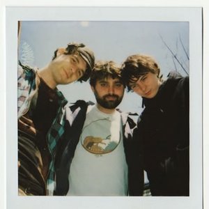 Avatar di Avey Tare, Panda Bear & Geologist