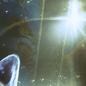 Cynic's Curtain