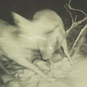 Self Noise