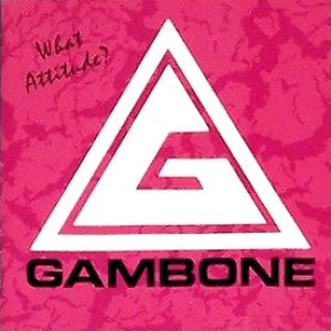 What Attitude?