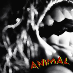 Animal - Single