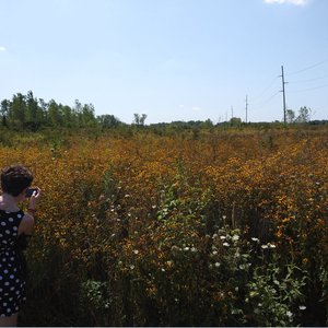 Monarch Meadows 的头像