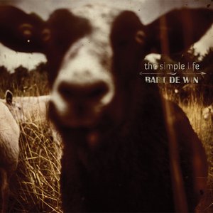 The Simple Life