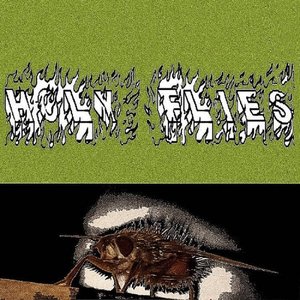 Holy Flies