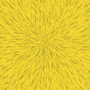 We Are All Fire (Instrumentals)