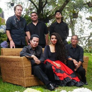 Avatar for Staccato Rumba Flamenca