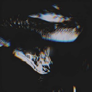 Swyvern 的头像