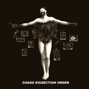 Chaos Dissection Order [Explicit]